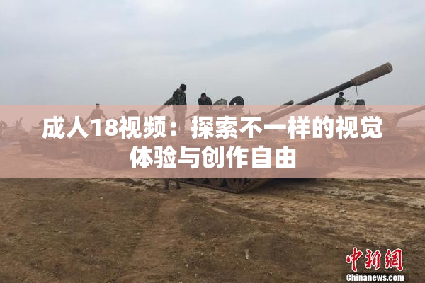 成人18视频：探索不一样的视觉体验与创作自由