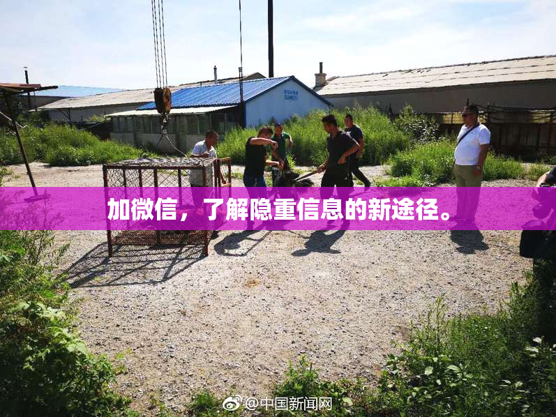 加微信，了解隐重信息的新途径。
