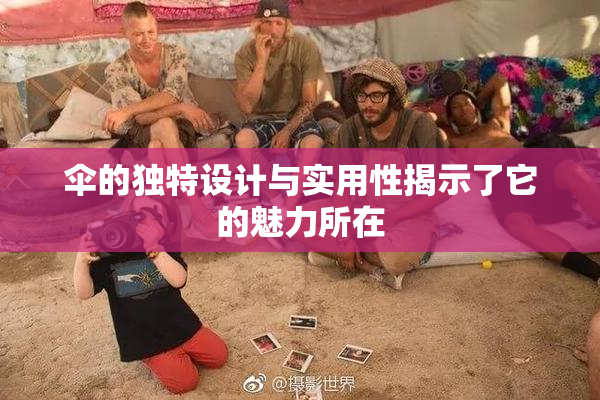 伞的独特设计与实用性揭示了它的魅力所在