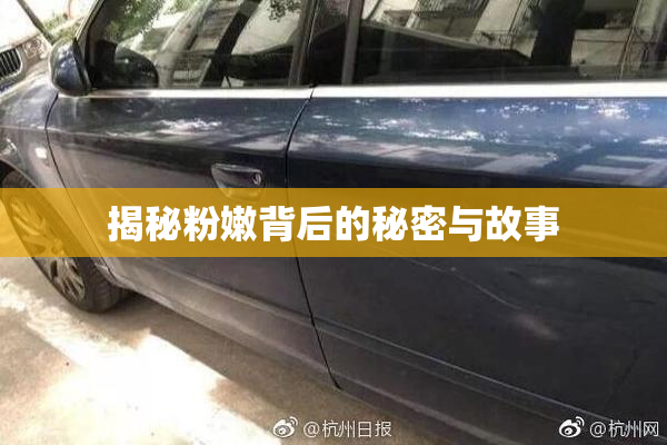 揭秘粉嫩背后的秘密与故事