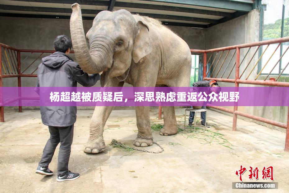 杨超越被质疑后，深思熟虑重返公众视野