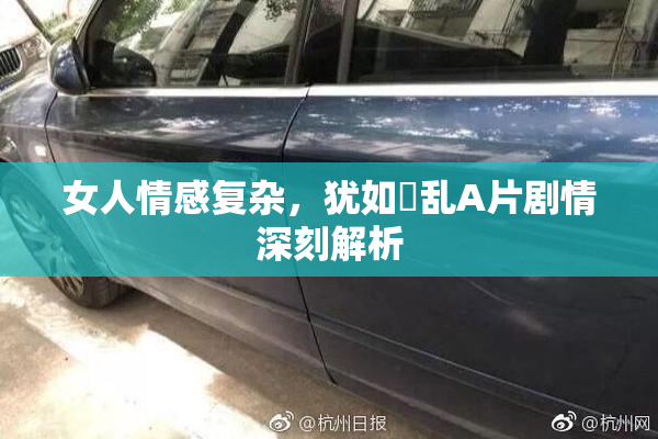 女人情感复杂，犹如婬乱A片剧情深刻解析