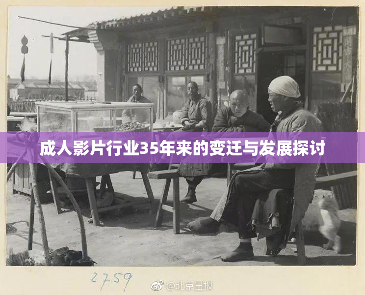 成人影片行业35年来的变迁与发展探讨