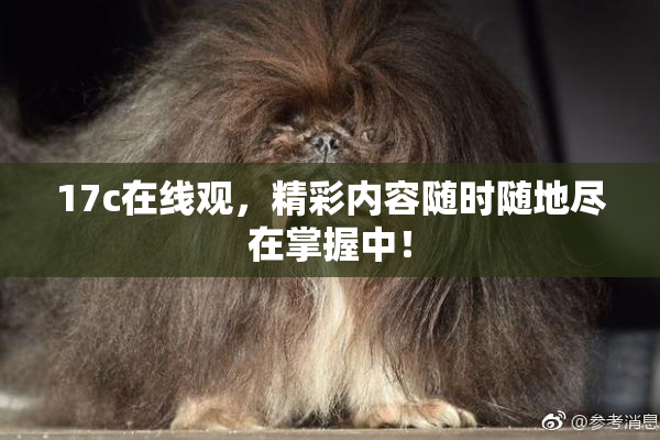 17c在线观，精彩内容随时随地尽在掌握中！