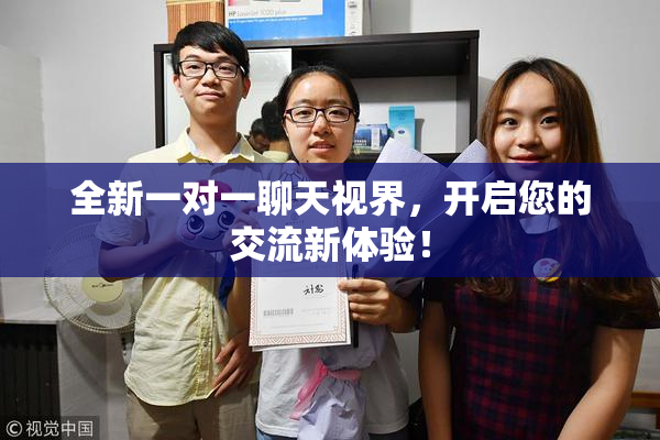 全新一对一聊天视界，开启您的交流新体验！