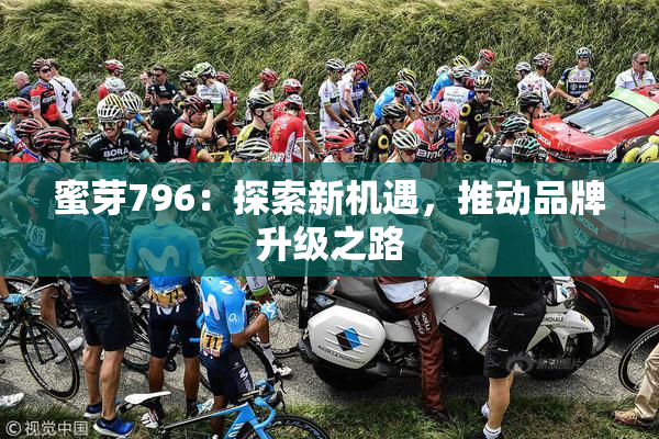 蜜芽796：探索新机遇，推动品牌升级之路