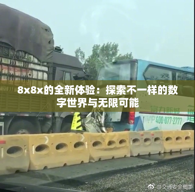 8x8x的全新体验：探索不一样的数字世界与无限可能