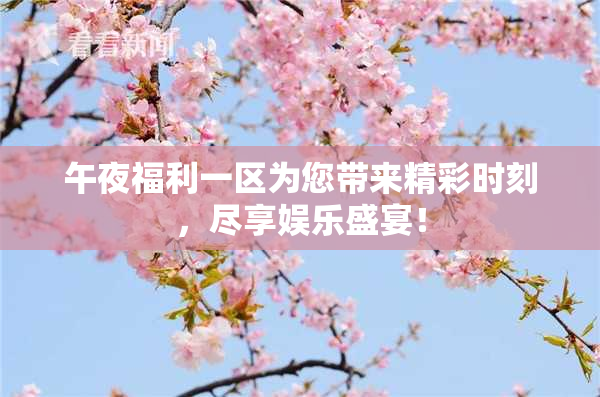 午夜福利一区为您带来精彩时刻，尽享娱乐盛宴！