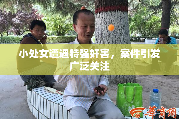 小处女遭遇特强奸害，案件引发广泛关注