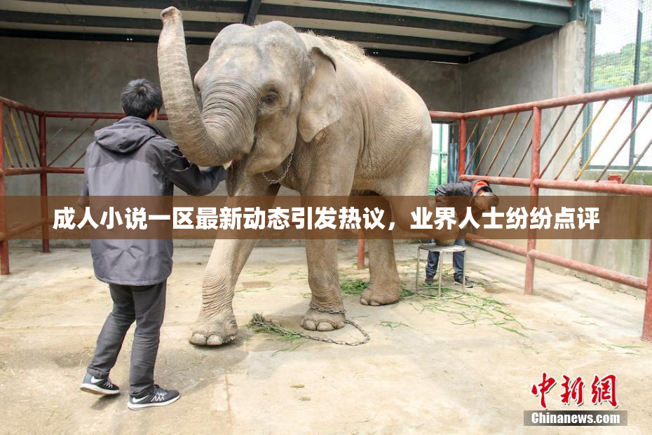成人小说一区最新动态引发热议，业界人士纷纷点评