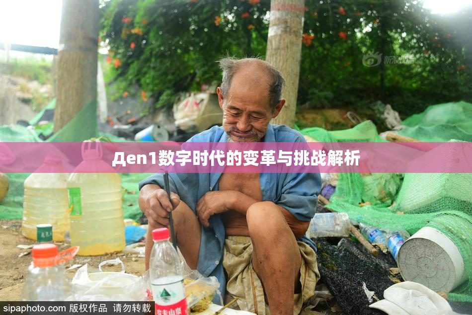 Дen1数字时代的变革与挑战解析