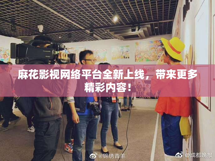 麻花影视网络平台全新上线，带来更多精彩内容！