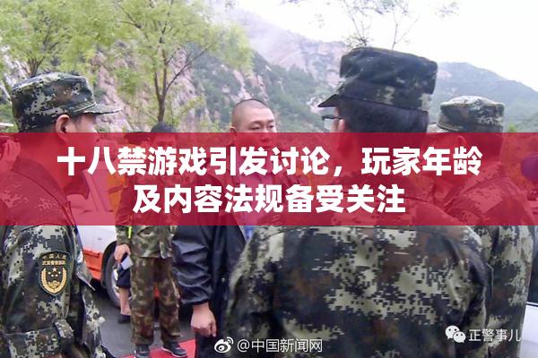 十八禁游戏引发讨论，玩家年龄及内容法规备受关注