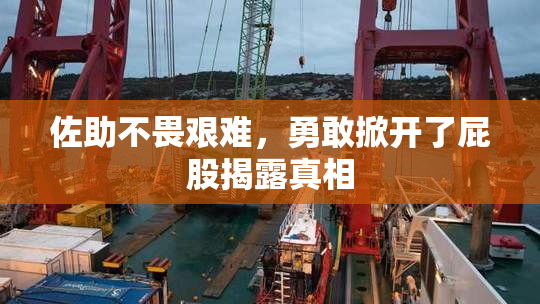 佐助不畏艰难，勇敢掀开了屁股揭露真相