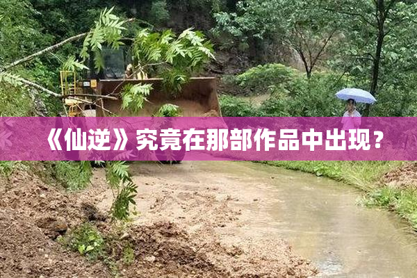 《仙逆》究竟在那部作品中出现？