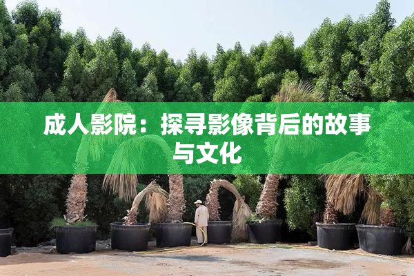 成人影院：探寻影像背后的故事与文化