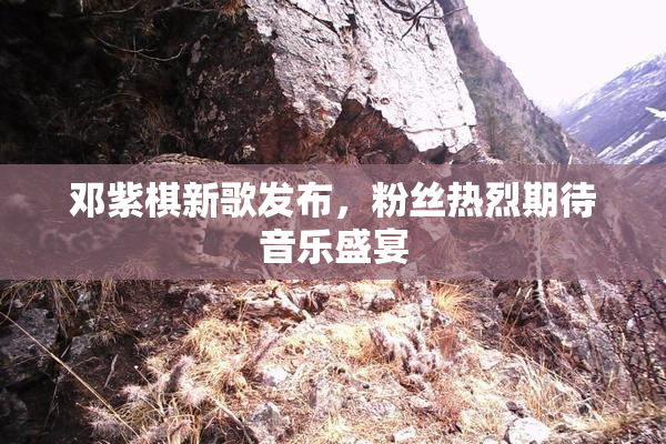 邓紫棋新歌发布，粉丝热烈期待音乐盛宴