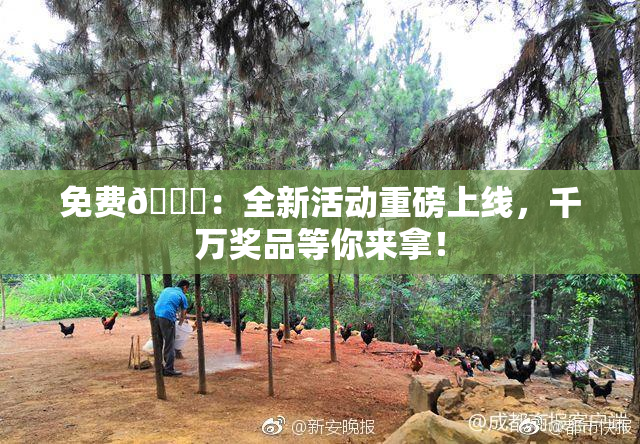 免费🔞：全新活动重磅上线，千万奖品等你来拿！