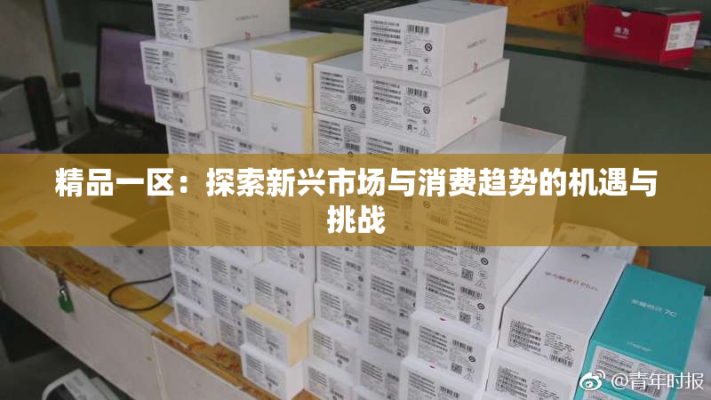 精品一区：探索新兴市场与消费趋势的机遇与挑战