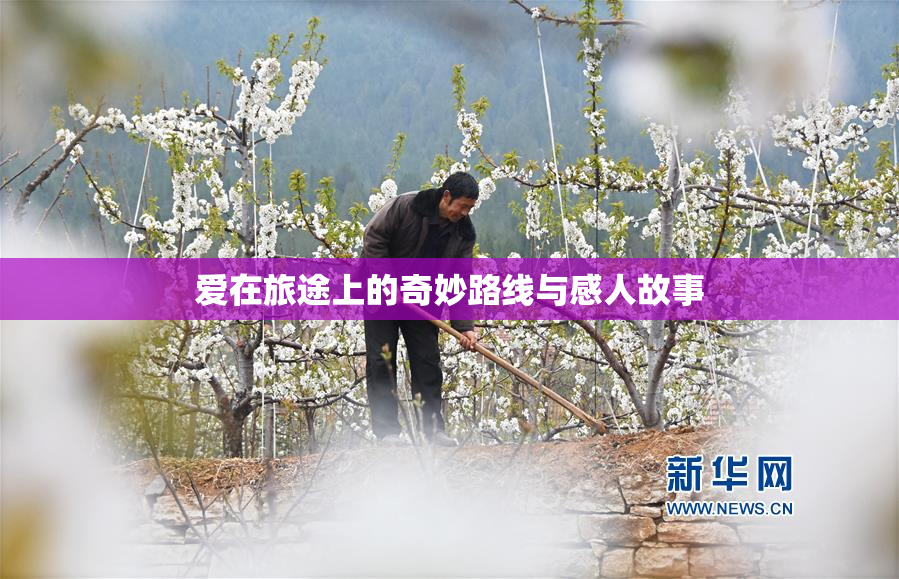 爱在旅途上的奇妙路线与感人故事