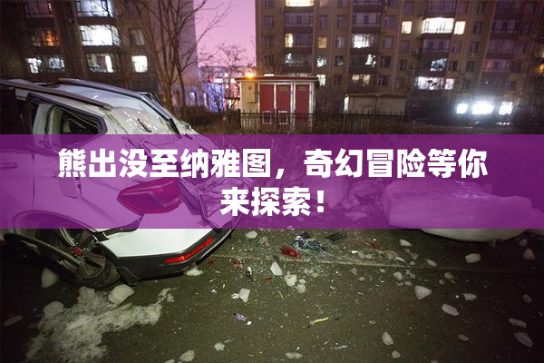 熊出没至纳雅图，奇幻冒险等你来探索！