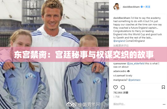 东宫禁脔：宫廷秘事与权谋交织的故事