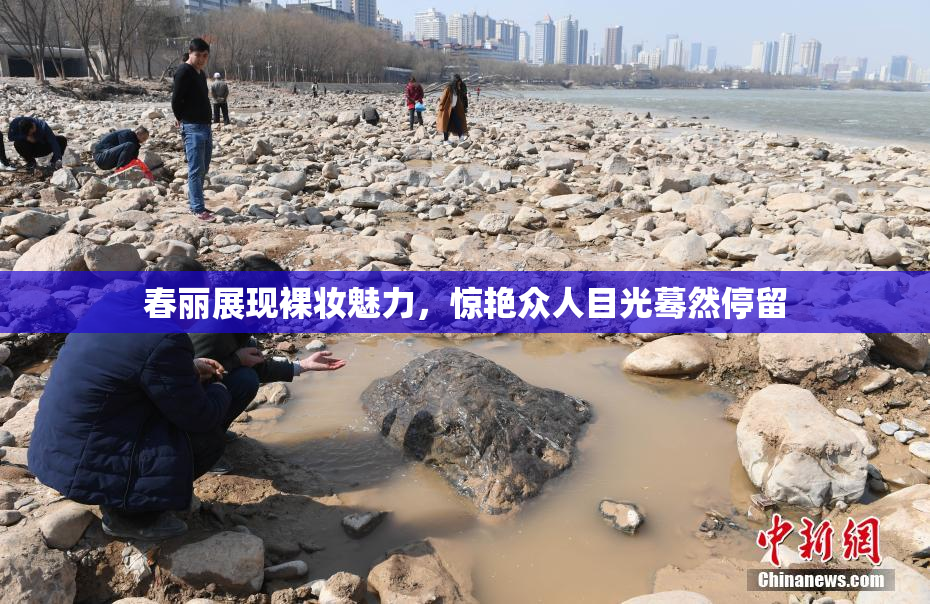 春丽展现裸妆魅力，惊艳众人目光蓦然停留
