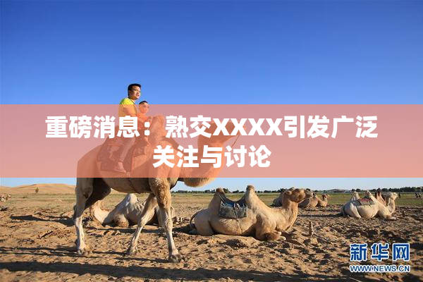 重磅消息：熟交XXXX引发广泛关注与讨论
