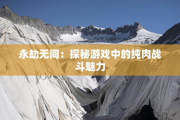永劫无间：探秘游戏中的纯肉战斗魅力