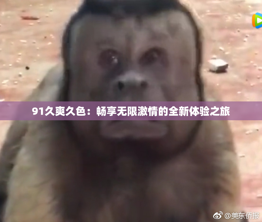 91久爽久色：畅享无限激情的全新体验之旅
