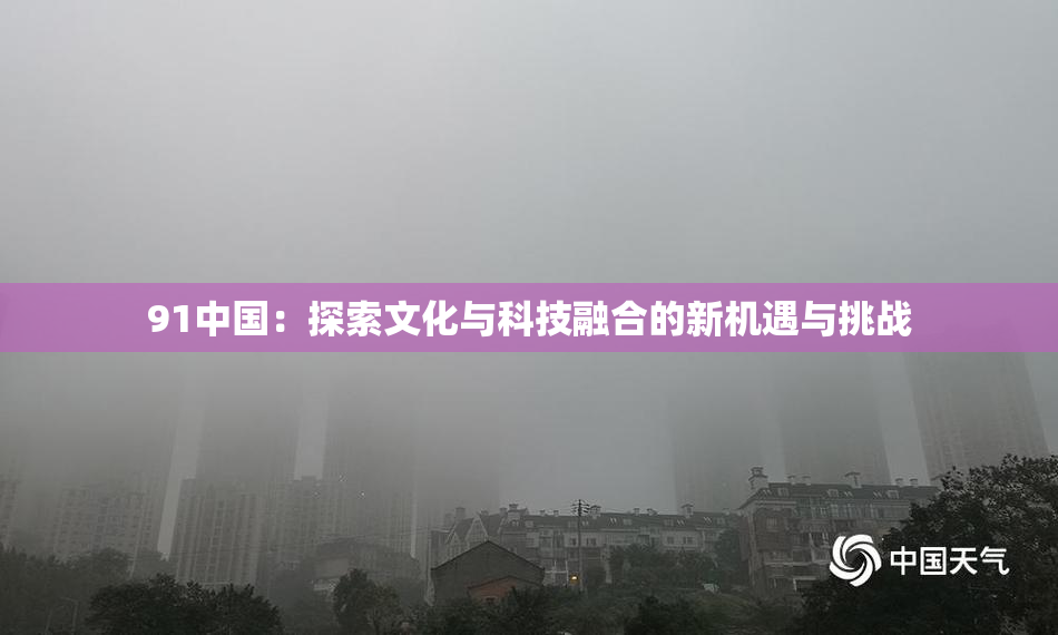 91中国：探索文化与科技融合的新机遇与挑战