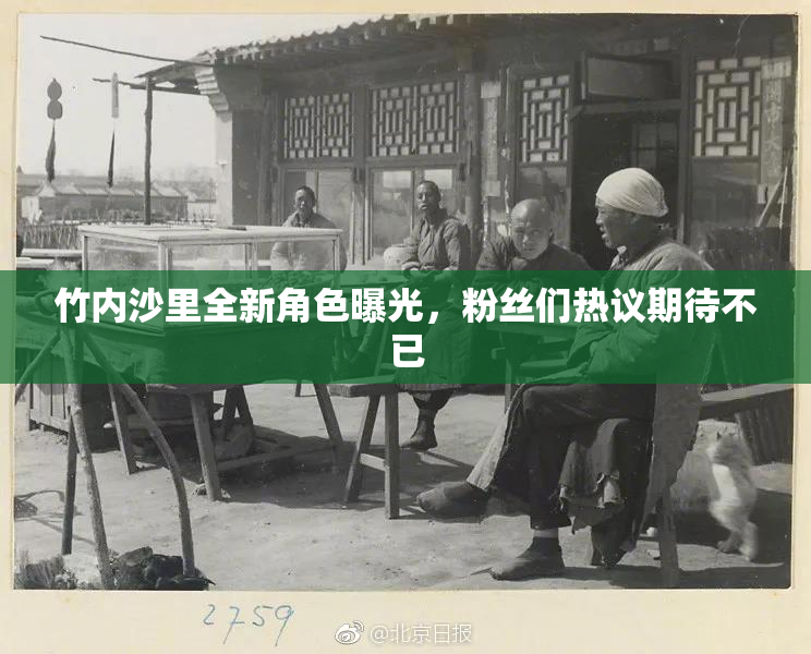 竹内沙里全新角色曝光，粉丝们热议期待不已