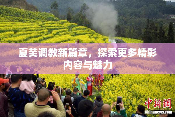 夏芙调教新篇章，探索更多精彩内容与魅力