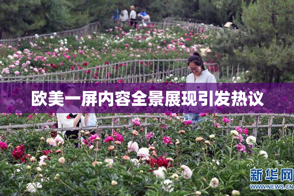 欧美一屏内容全景展现引发热议