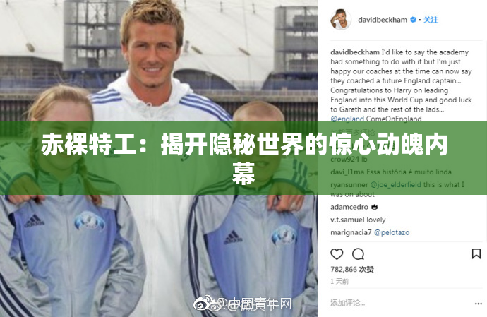 赤裸特工：揭开隐秘世界的惊心动魄内幕