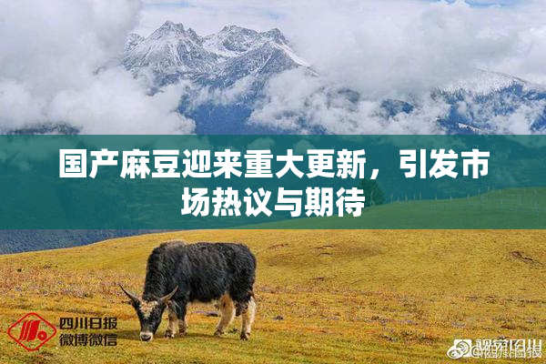 国产麻豆迎来重大更新，引发市场热议与期待
