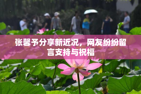 张馨予分享新近况，网友纷纷留言支持与祝福