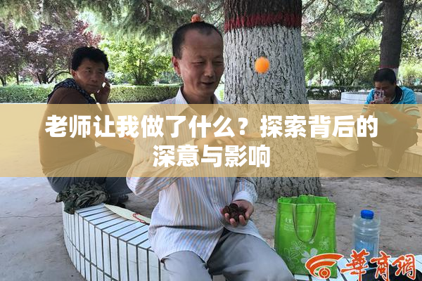 老师让我做了什么？探索背后的深意与影响