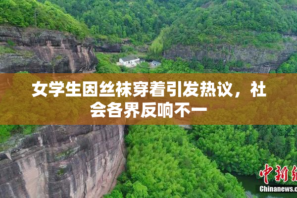 女学生因丝袜穿着引发热议，社会各界反响不一