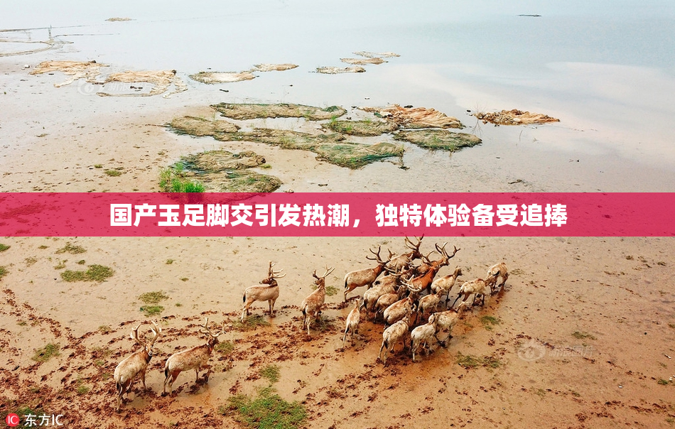 国产玉足脚交引发热潮，独特体验备受追捧