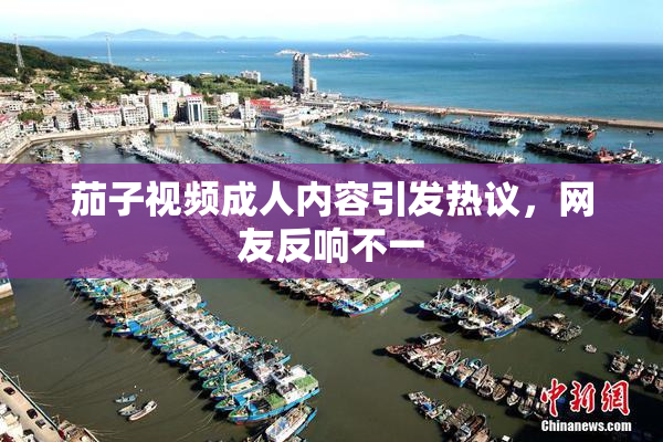 茄子视频成人内容引发热议，网友反响不一