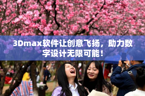 3Dmax软件让创意飞扬，助力数字设计无限可能！