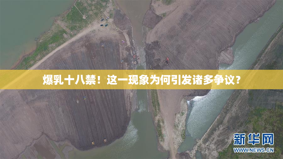 爆乳十八禁！这一现象为何引发诸多争议？