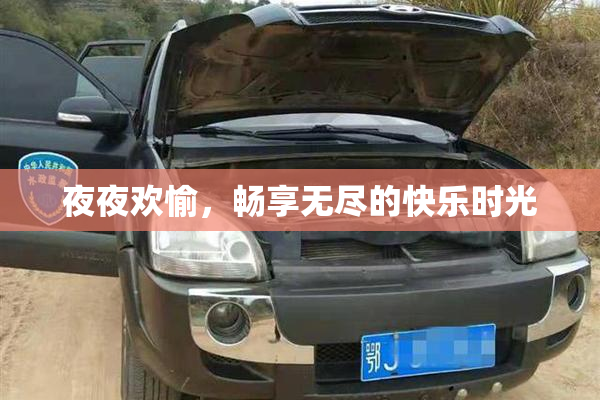 夜夜欢愉，畅享无尽的快乐时光