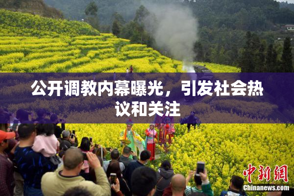 公开调教内幕曝光，引发社会热议和关注