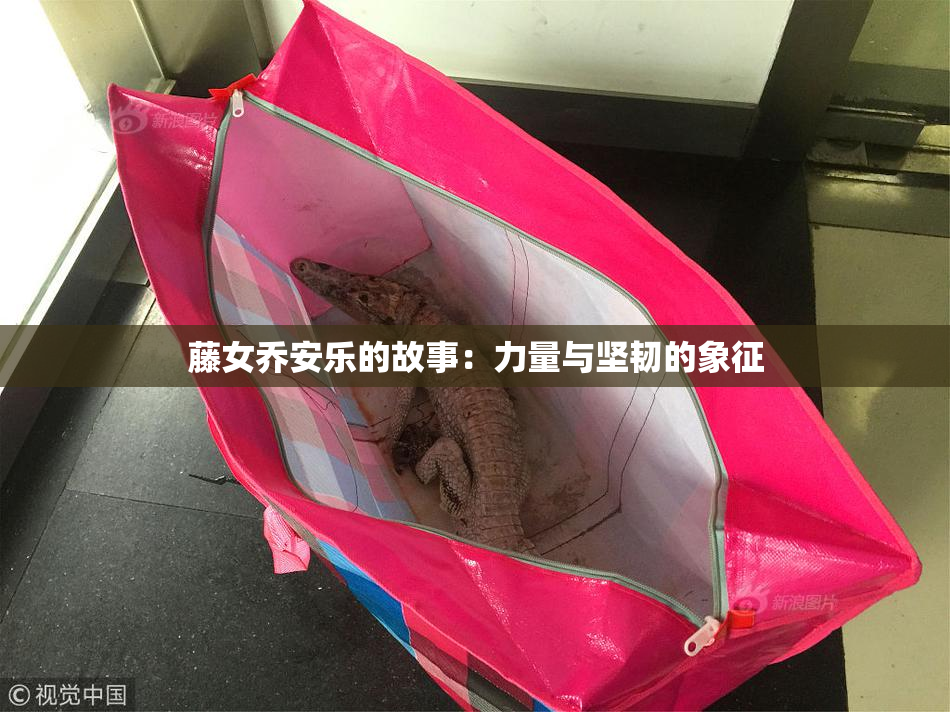 藤女乔安乐的故事：力量与坚韧的象征