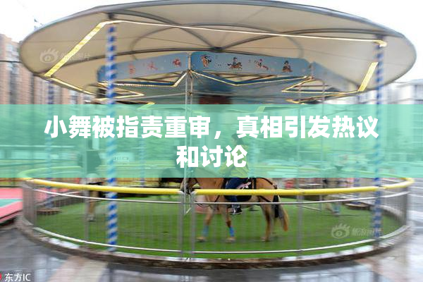 小舞被指责重审，真相引发热议和讨论