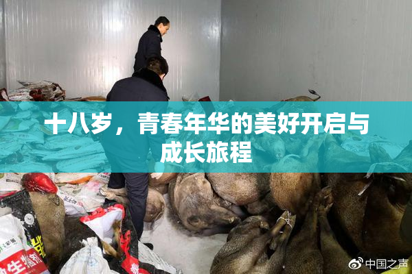十八岁，青春年华的美好开启与成长旅程