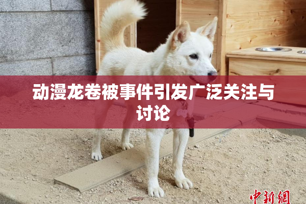 动漫龙卷被事件引发广泛关注与讨论