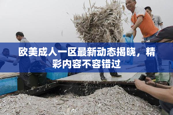 欧美成人一区最新动态揭晓，精彩内容不容错过